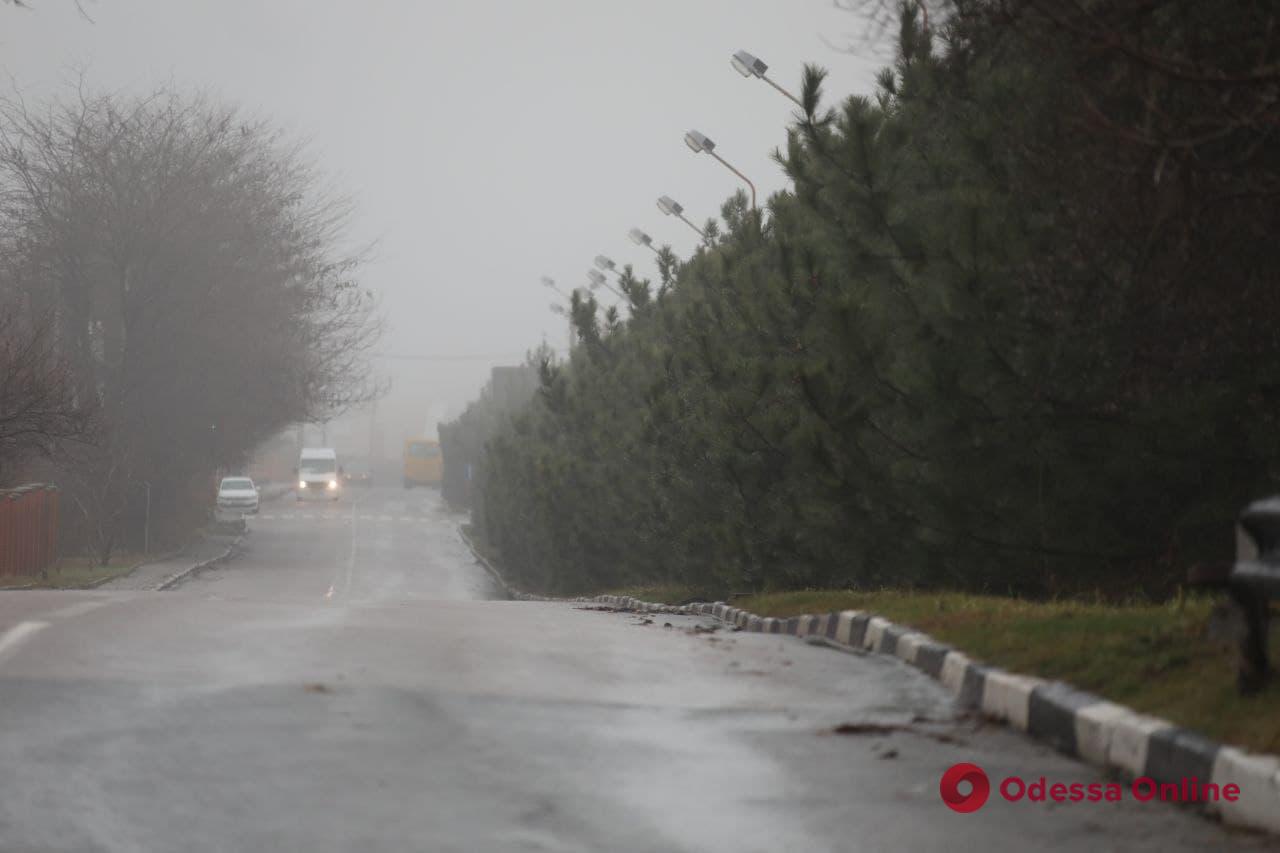 Видимость 200-500 метров: полицейские Одесской области призвали водителей быть бдительными из-за тумана