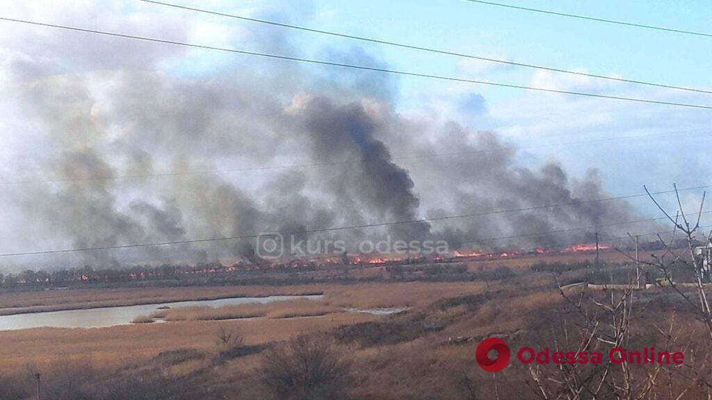 В Одесской области горят плавни (обновляется)
