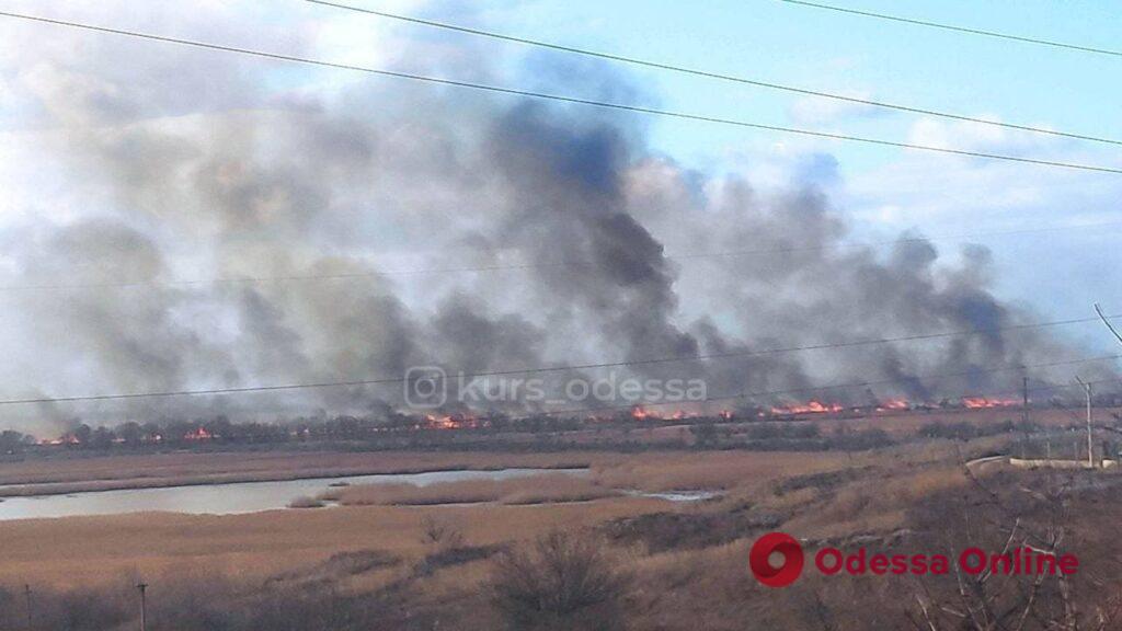 В Одесской области горят плавни (обновляется)