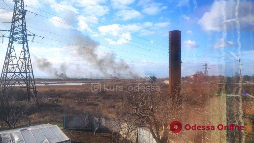 В Одесской области горят плавни (обновляется)