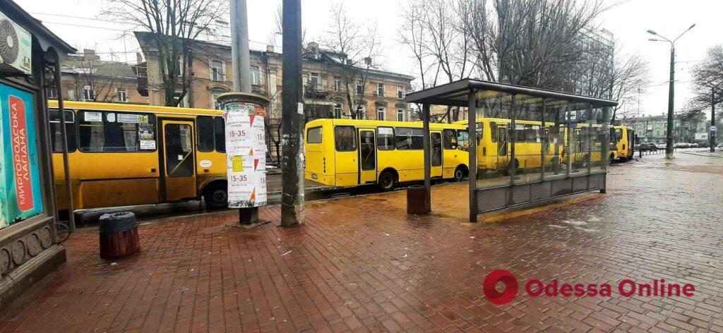 Автобусы 18т перекрыли остановку возле Куликова поля