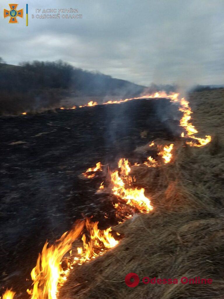 В Одесской области выгорело 1,5 гектара сухой травы (фото)