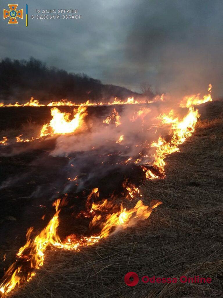 В Одесской области выгорело 1,5 гектара сухой травы (фото)