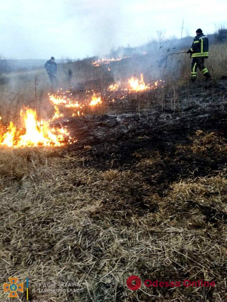 В Одесской области выгорело 1,5 гектара сухой травы (фото)