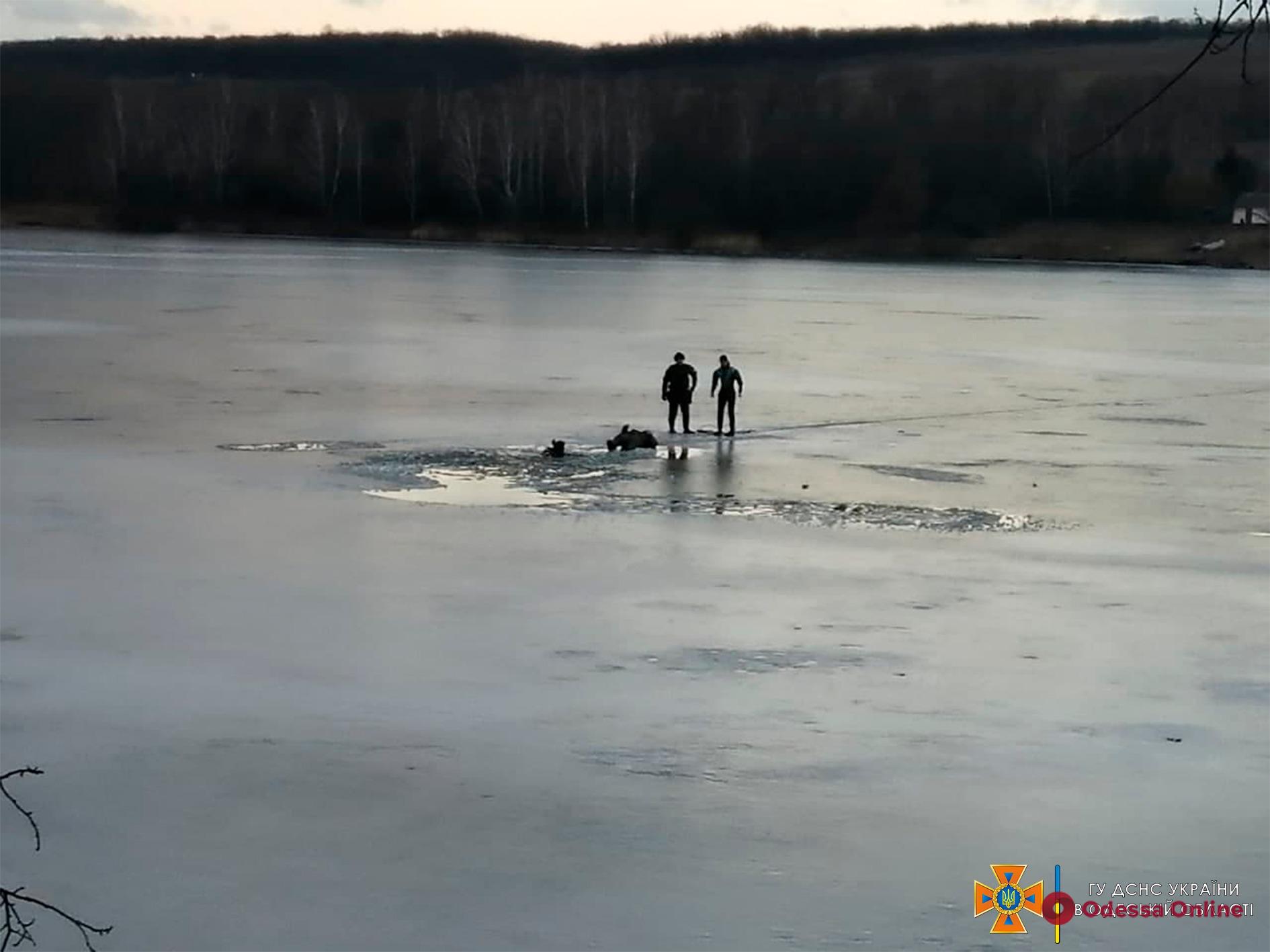 В Одесской области утонул рыбак, вышедший на тонкий лед