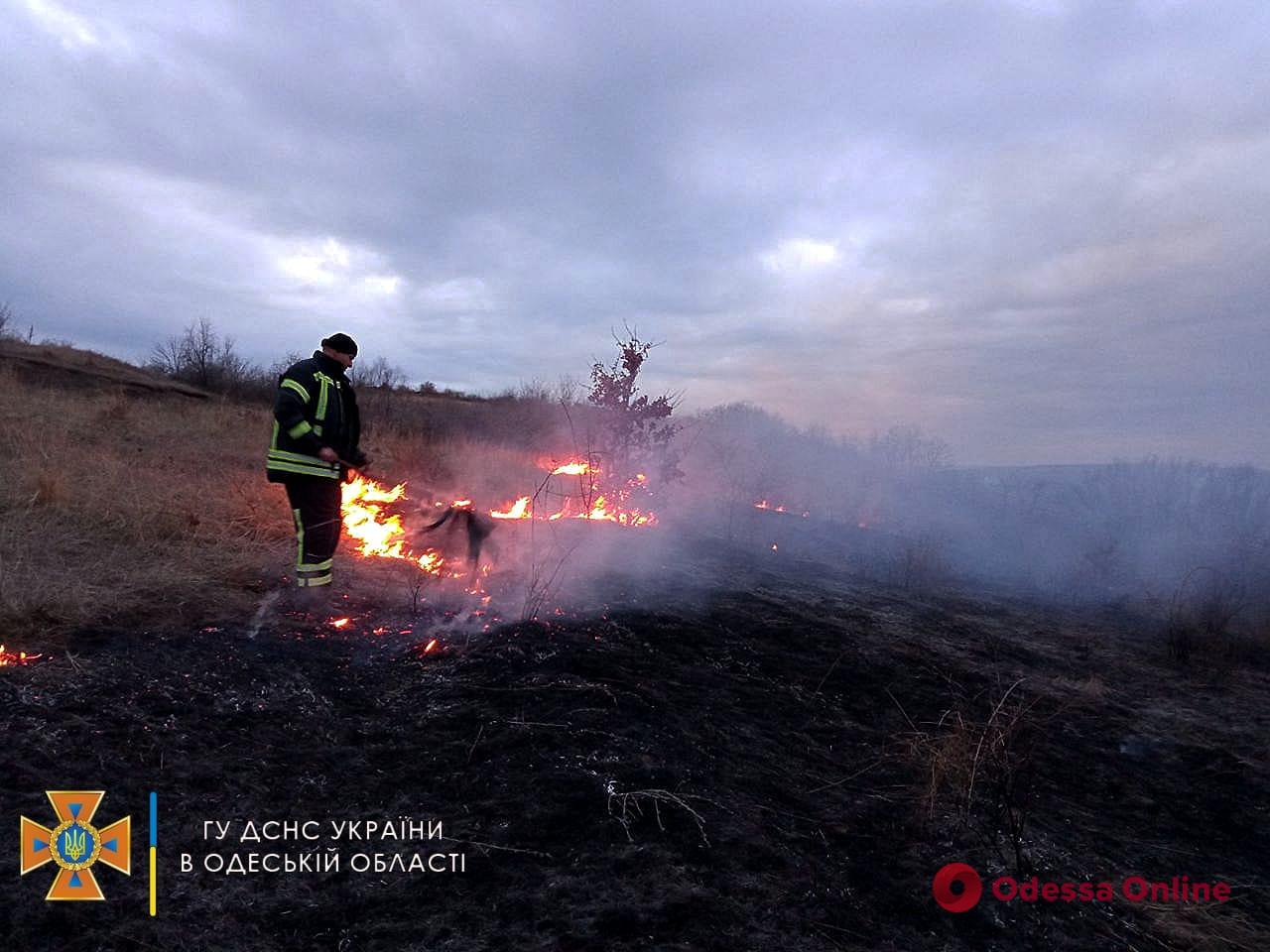 В Одесской области выгорело 1,5 гектара сухой травы (фото)