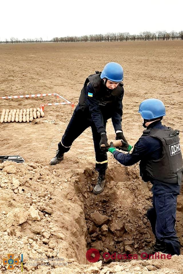 Взрывоопасный «урожай»: в Измаильском районе нашли почти полсотни снарядов (фото, видео)