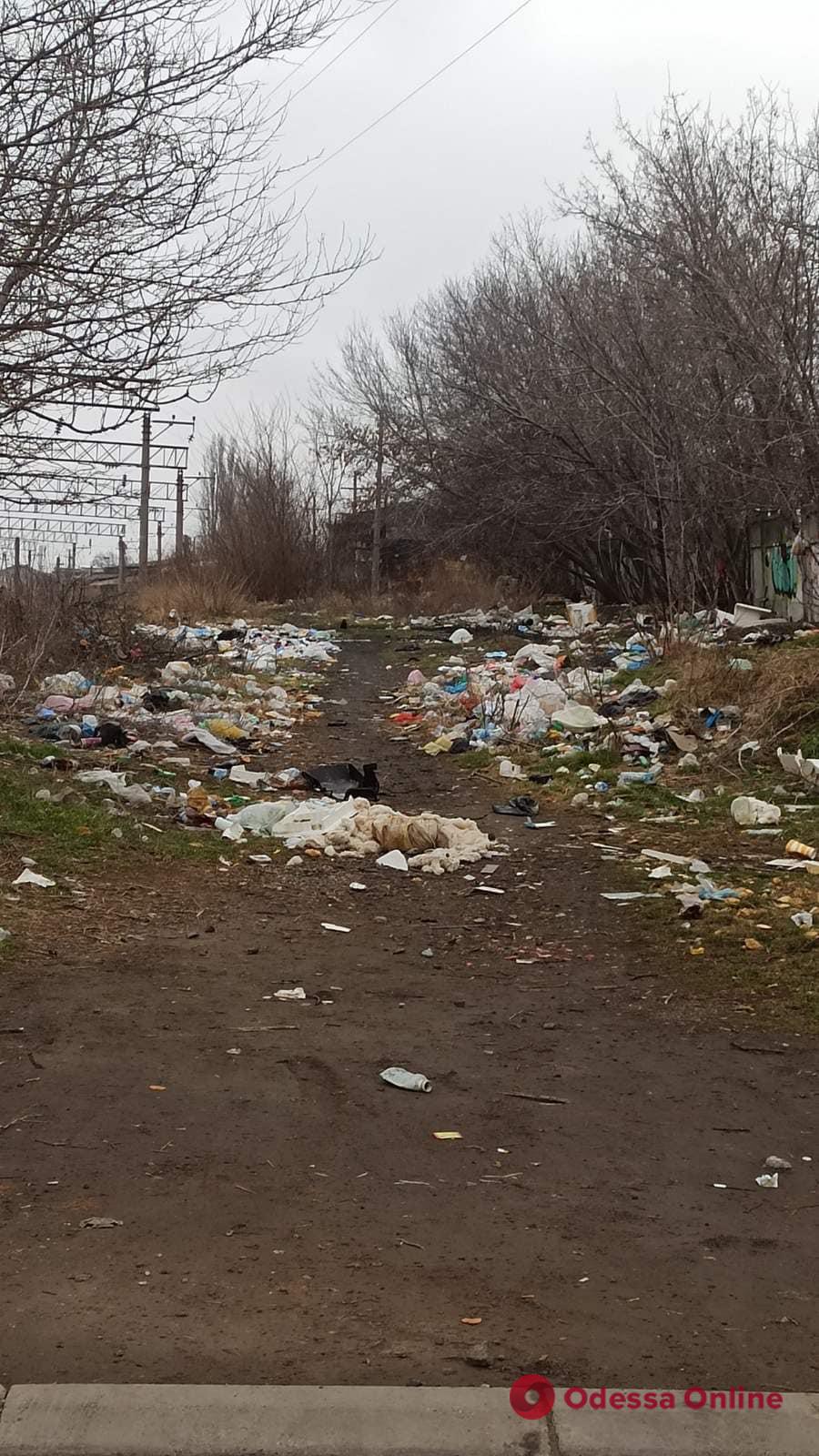 С железнодорожной станции в Одессе вывезли тонны мусора
