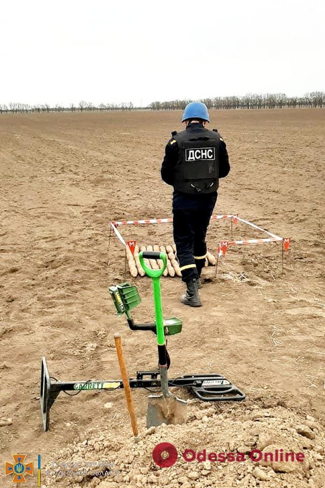 Взрывоопасный «урожай»: в Измаильском районе нашли почти полсотни снарядов (фото, видео)