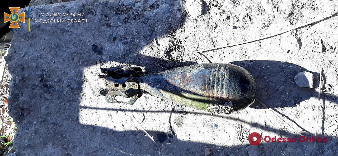 В Маяках рыбак нашел артснаряд