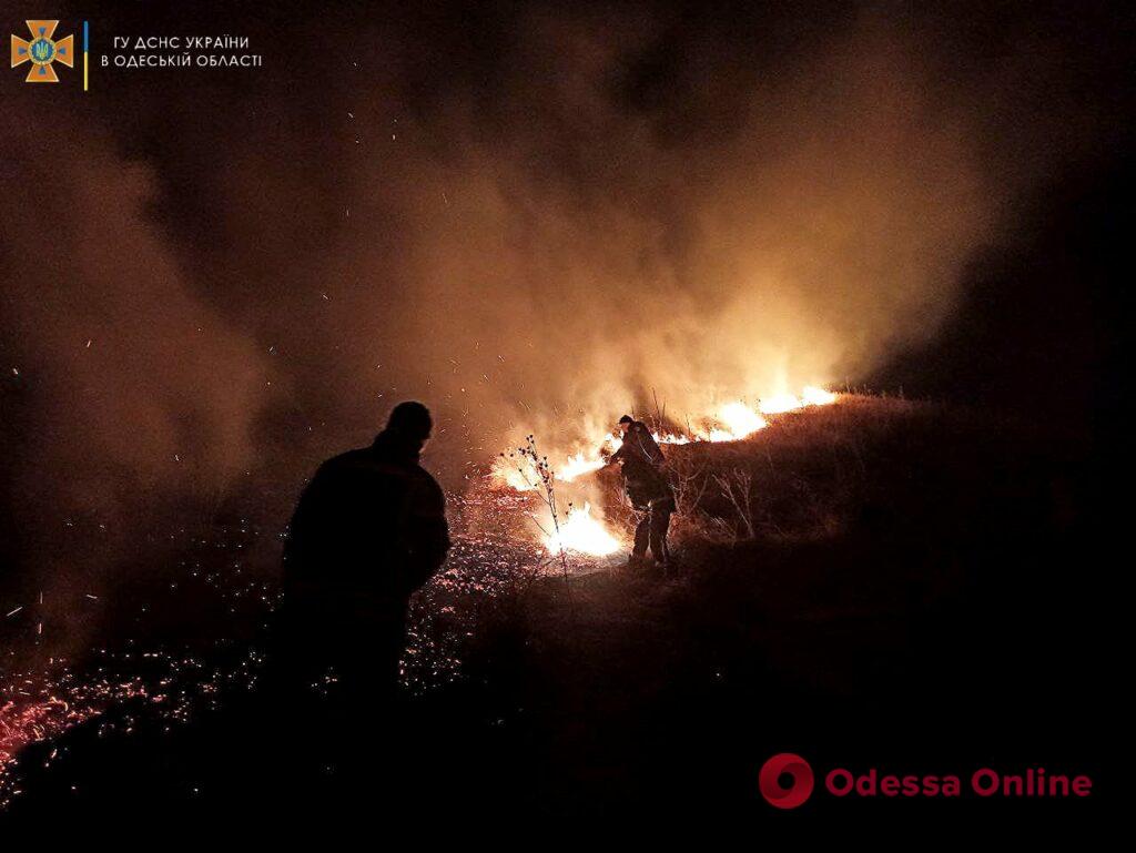 В Одесской области выгорело полтора гектара сухой травы