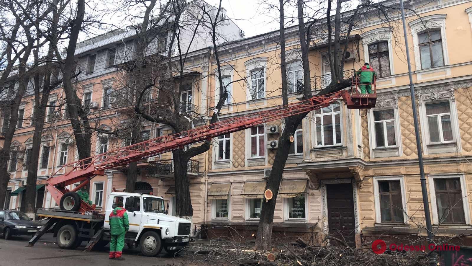 Одесские коммунальщики обрезают деревья в переулке Маяковского