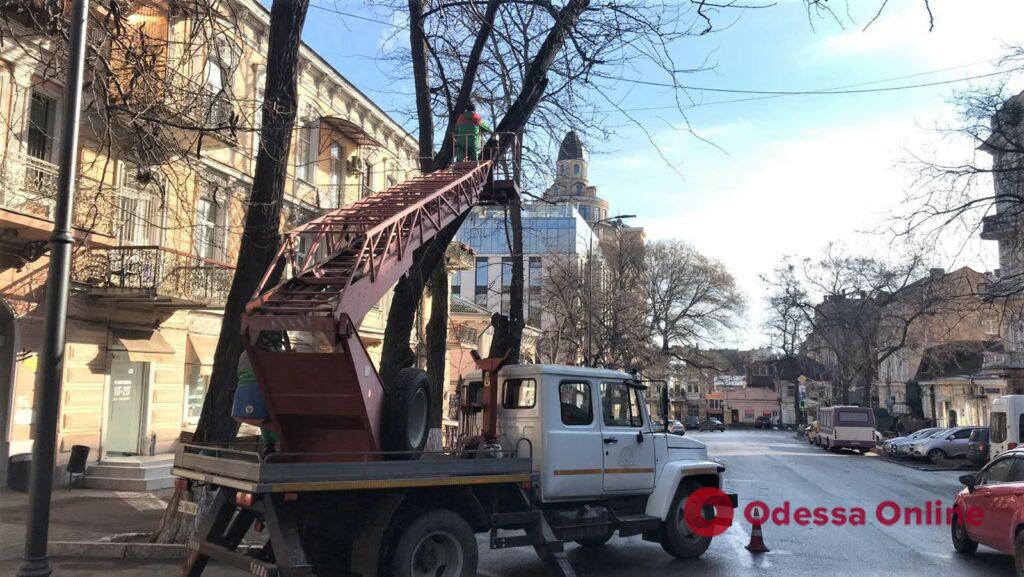 Одесские коммунальщики обрезают деревья в переулке Маяковского