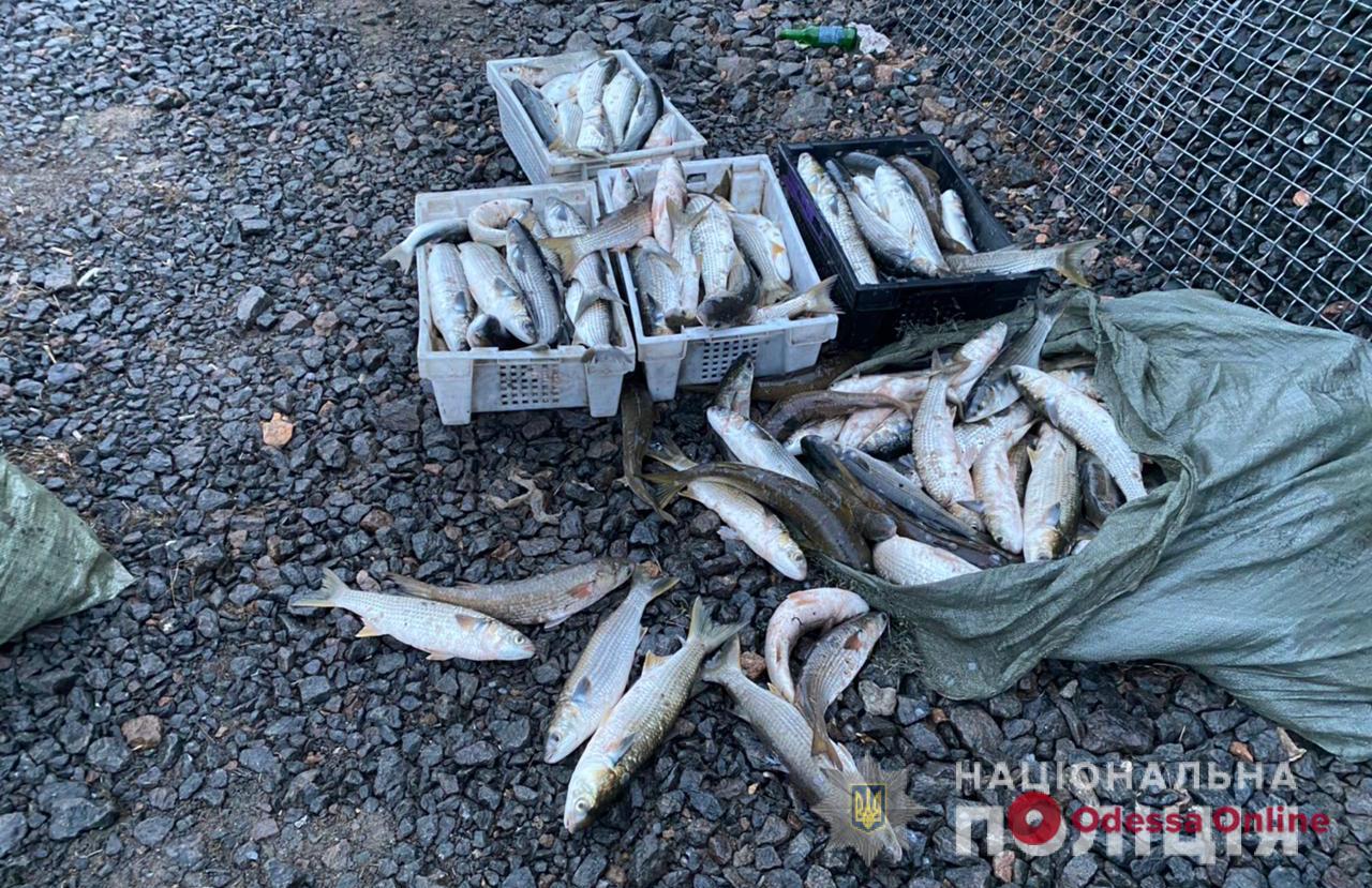 Под Одессой задержали браконьера, который выловил почти 200 килограммов рыбы