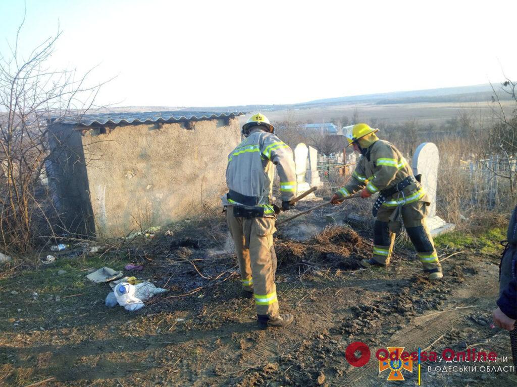 За сутки в Одесской области четыре раза горела сухая трава