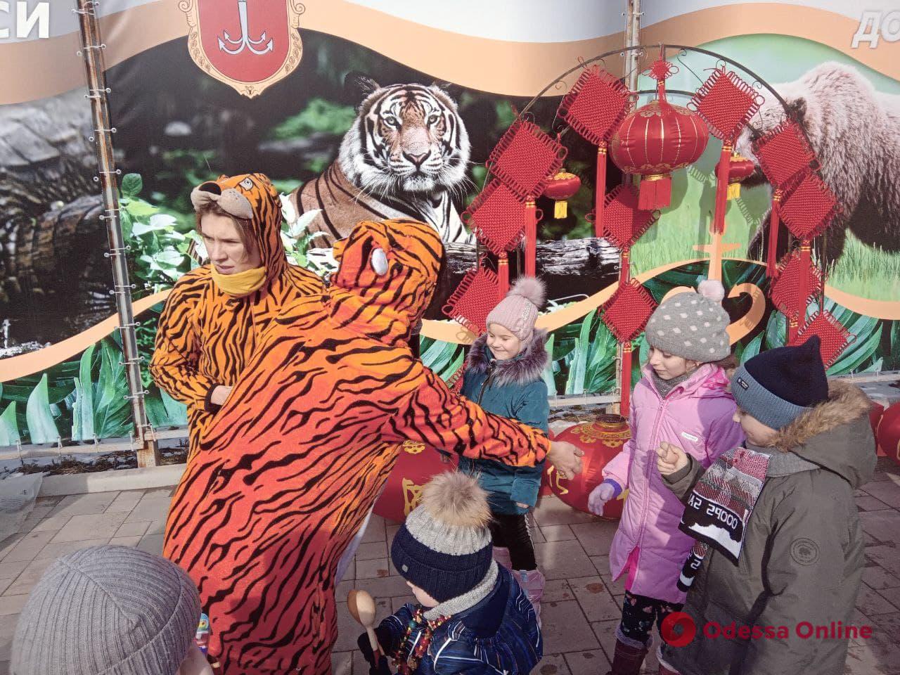 Раздавали конфеты и кормили тигра: в Одесском зоопарке встретили китайский Новый год (фоторепортаж)