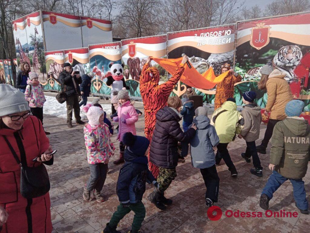Раздавали конфеты и кормили тигра: в Одесском зоопарке встретили китайский Новый год (фоторепортаж)