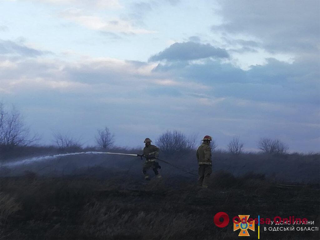 В Раздельнянском районе сгорело три гектара сухой травы