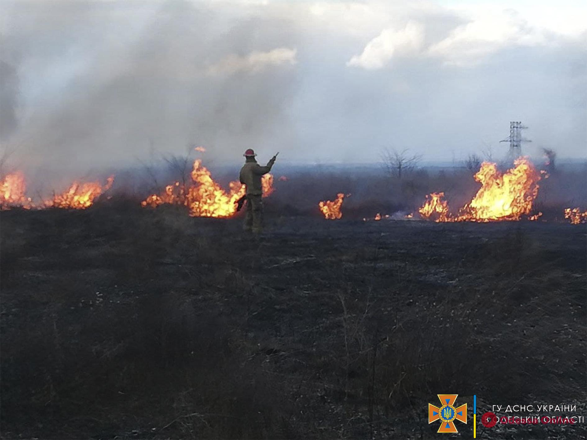 В Раздельнянском районе сгорело три гектара сухой травы