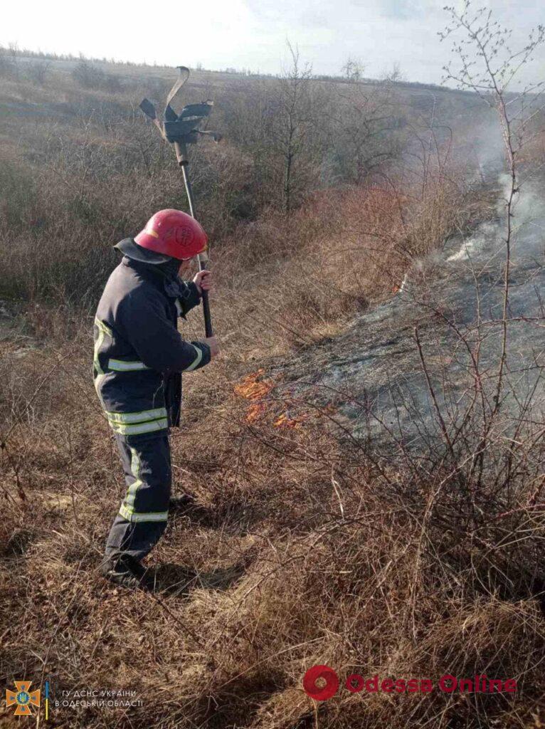 В Одесской области сгорел гектар сухой травы