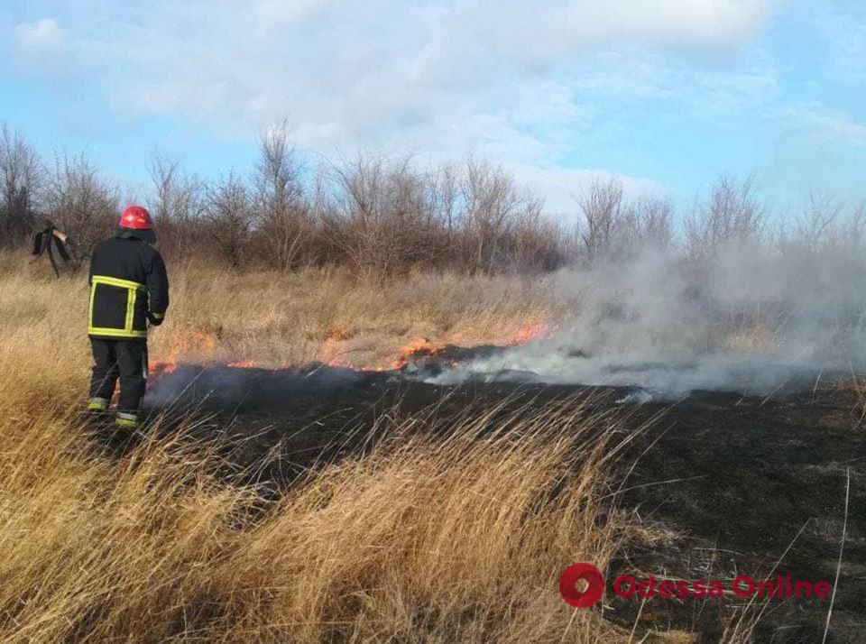 В Одесской области сгорел гектар сухой травы