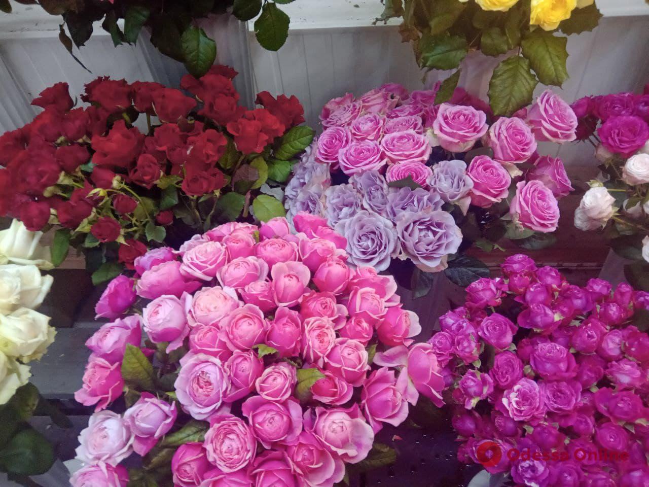 Розы, ирисы и тюльпаны: во сколько обходятся одесситам букеты ко Дню влюбленных