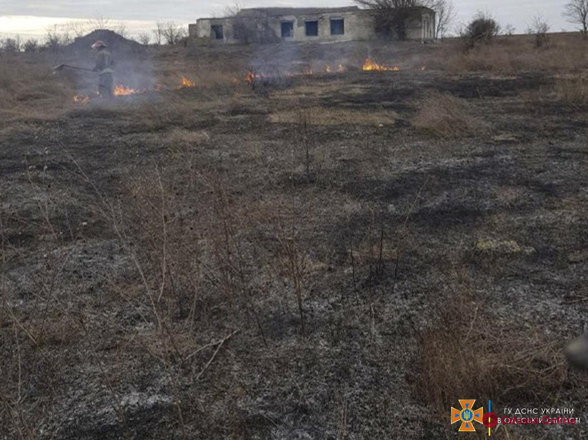 За сутки в Одесской области четыре раза горела сухая трава