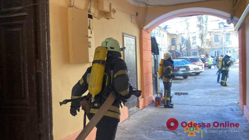 Одесские спасатели вынесли из горящей квартиры двух котов и грызуна