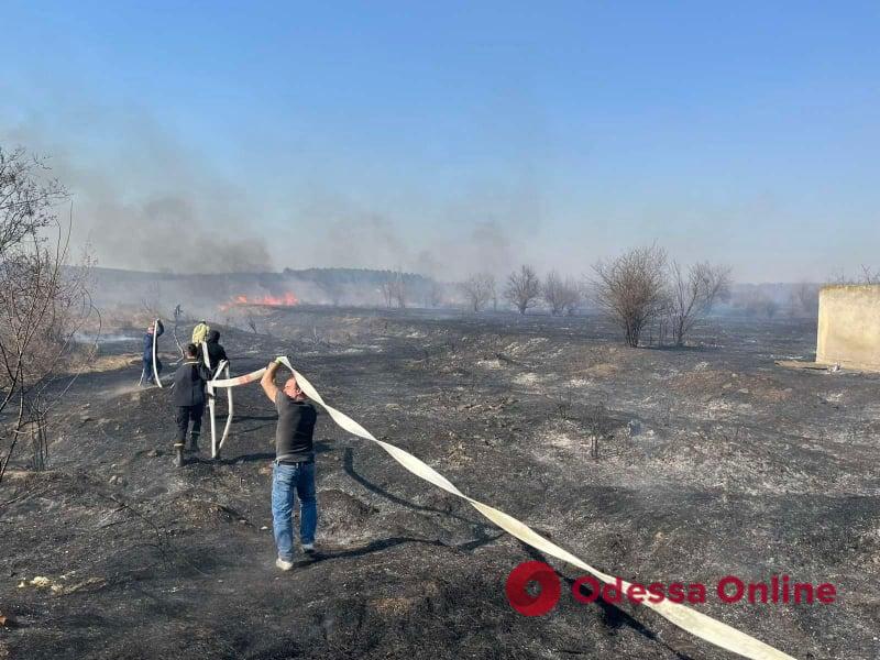 Три тысячи гривен штрафа за пожар: в Одесской области задержали поджигателя сухой травы