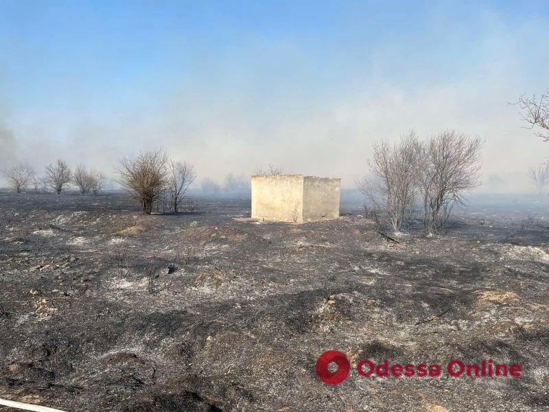 Три тысячи гривен штрафа за пожар: в Одесской области задержали поджигателя сухой травы