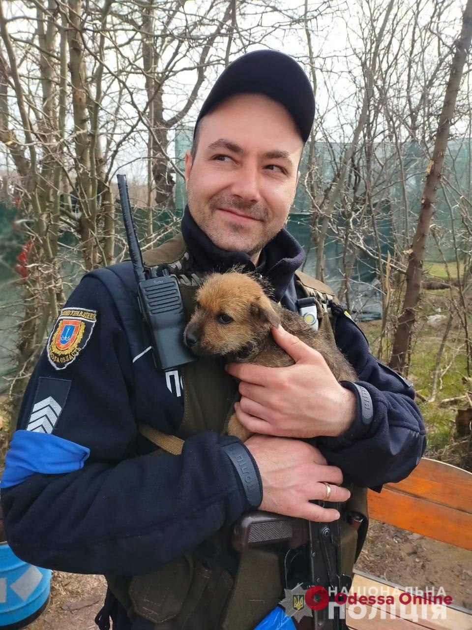 Одесский полицейский нашел щенка и назвал его Блокпост