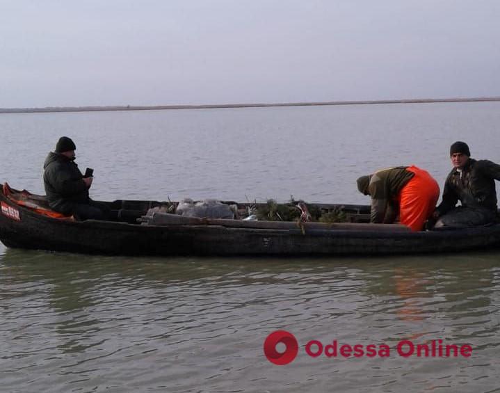 На озере в Одесской области установили нерестовые гнезда
