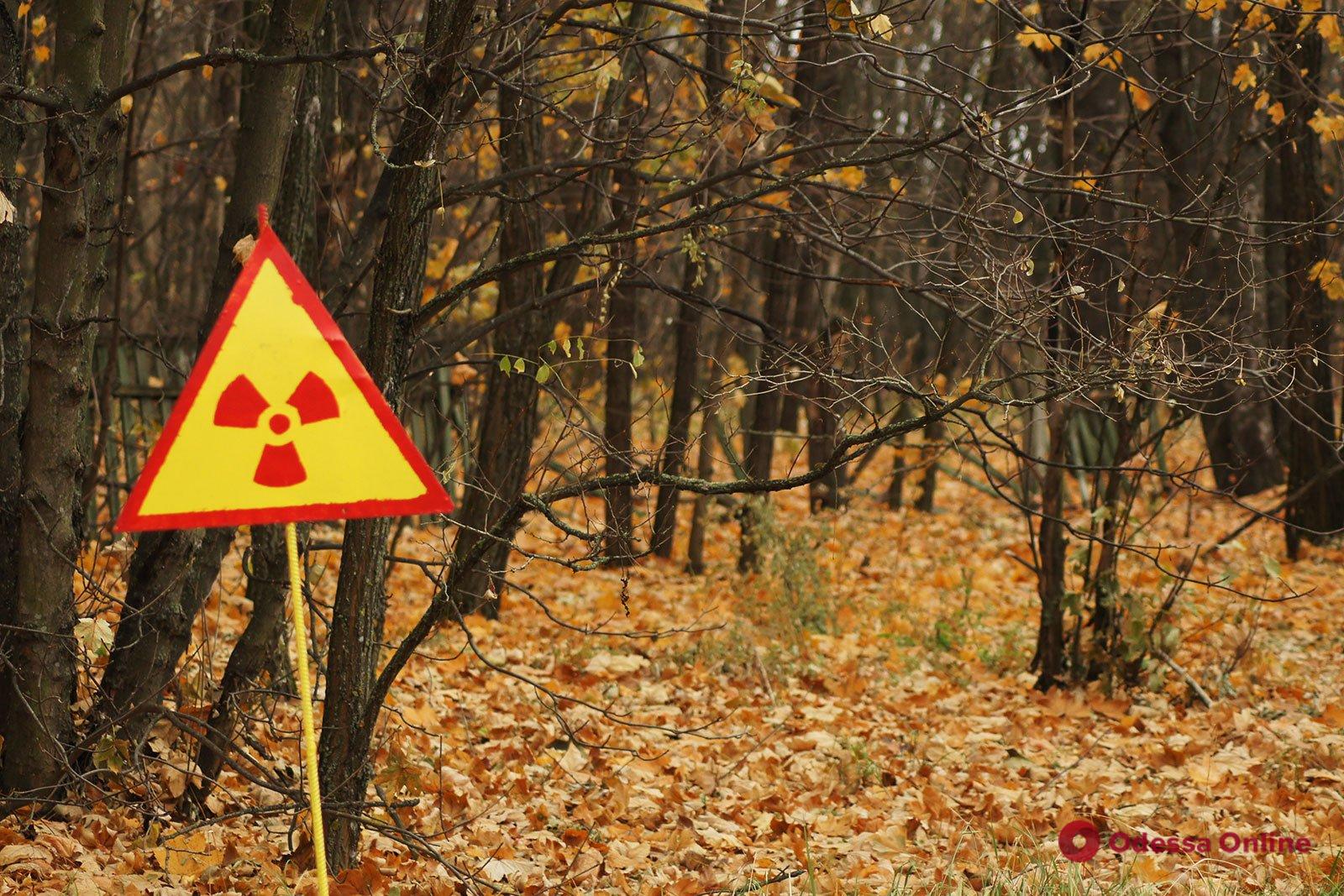 Самоубийство: российские оккупанты подняли пыль в Рыжем лесу – ездят на бронетехнике без радиационной защиты