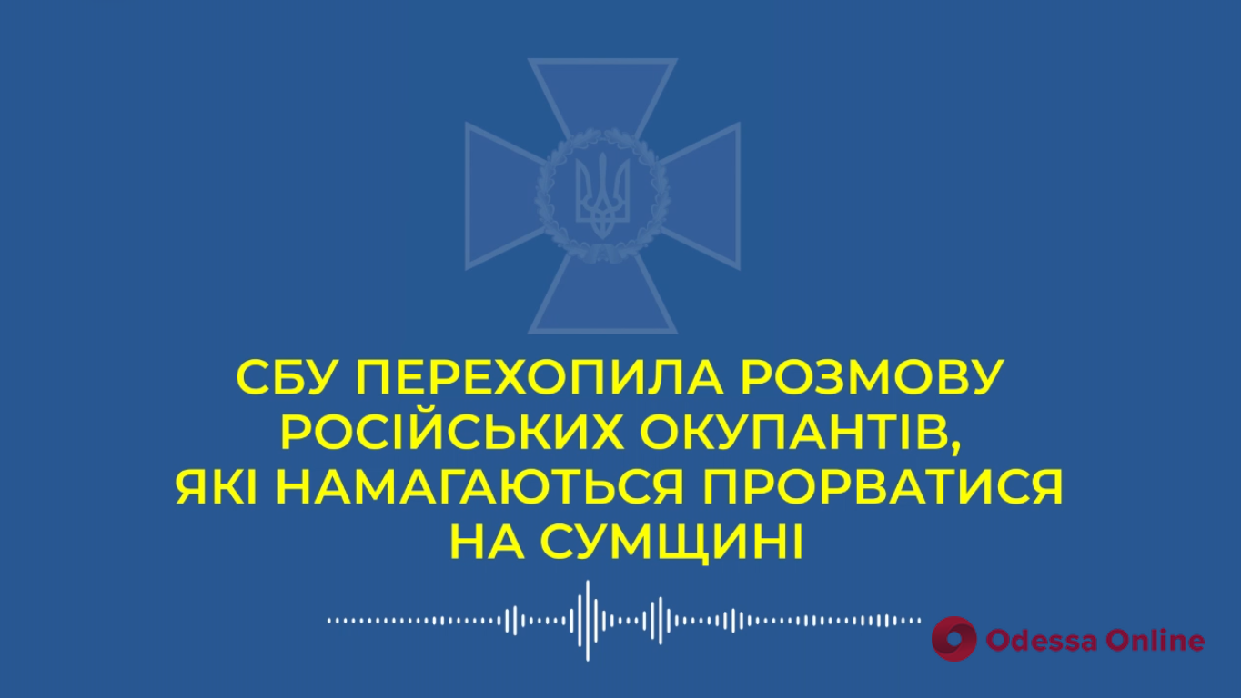 «Все бухие, самая синяя армия мира»: СБУ опубликовала телефонный разговор российского оккупанта с супругой