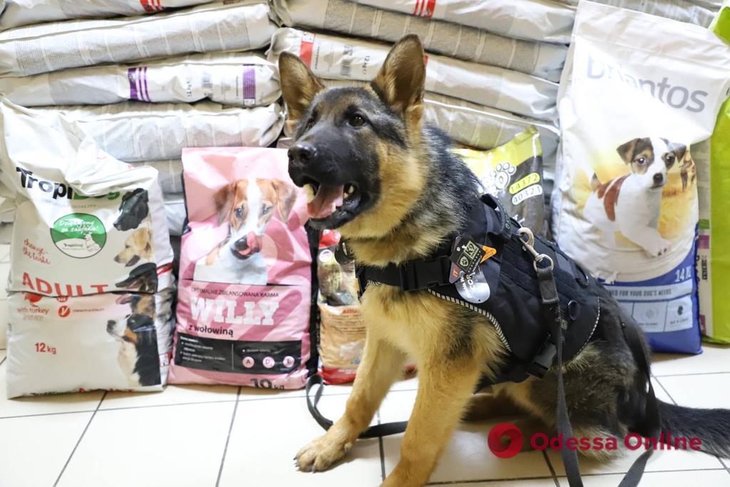 Служебным собакам ГПСУ передали помощь от волонтерских организаций Польши