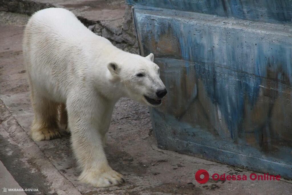 Николаевский зоопарк получил финансовую помощь от Праги