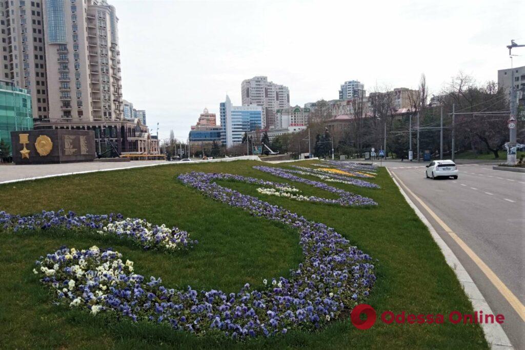 Патриотическая композиция: на площади 10 Апреля высадили более 12 тысяч цветов (фото)
