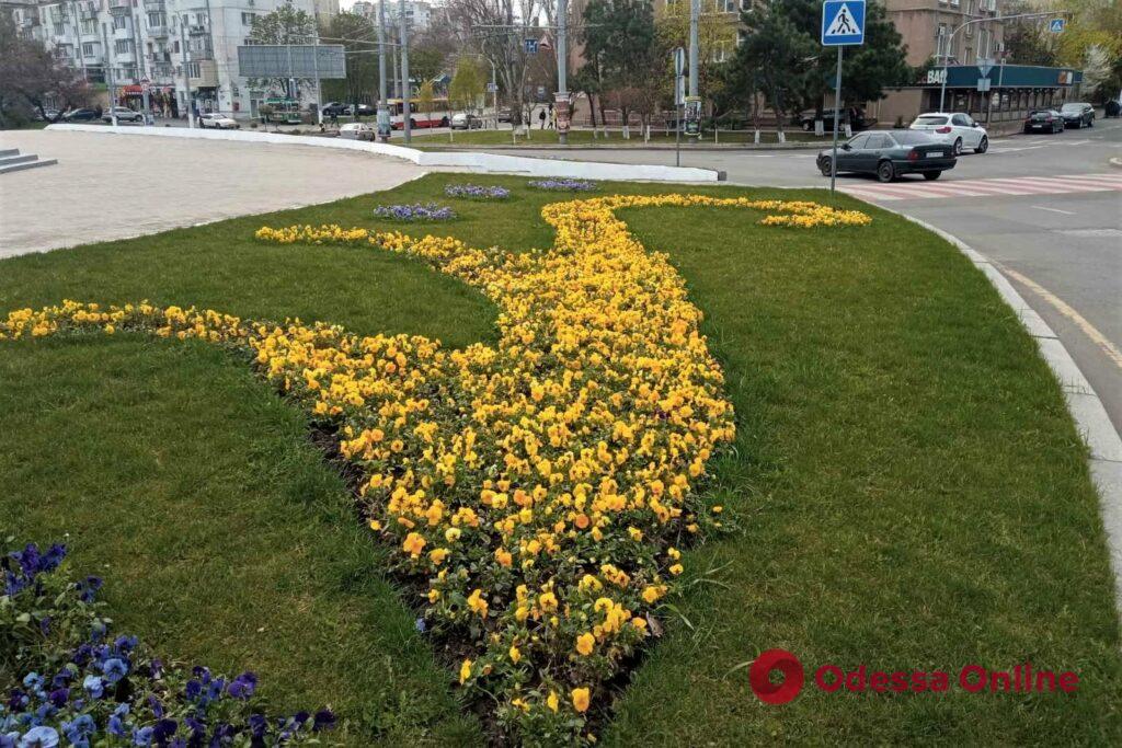 Патриотическая композиция: на площади 10 Апреля высадили более 12 тысяч цветов (фото)
