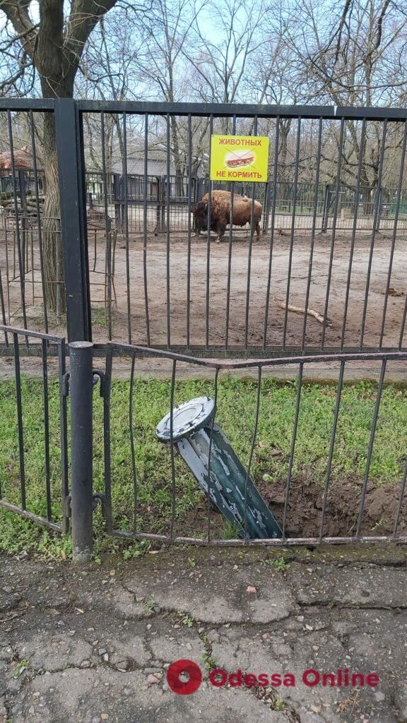 Обстрел Николаева: ракеты прилетели в зоопарк, но не взорвались