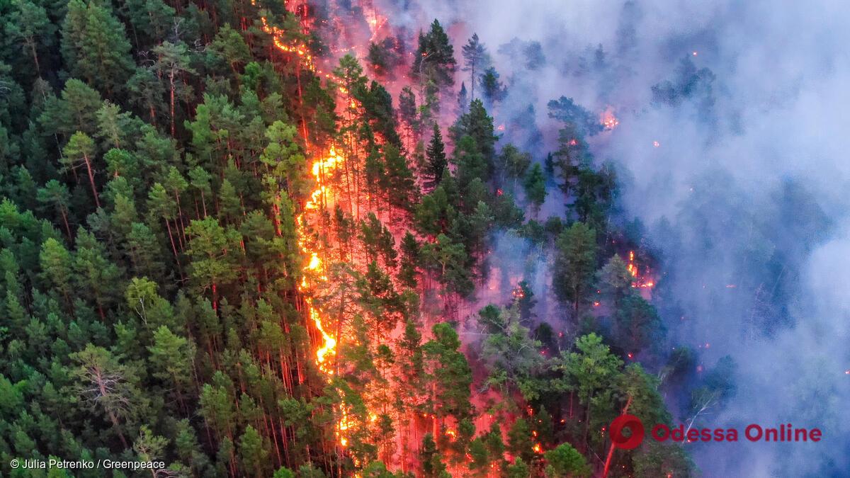 В россии не могут потушить лесные пожары из-за нехватки военной авиации — СМИ