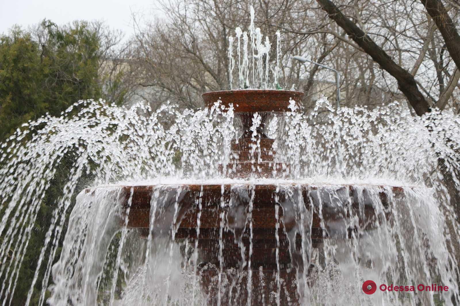 В парке Шевченко запустили фонтан