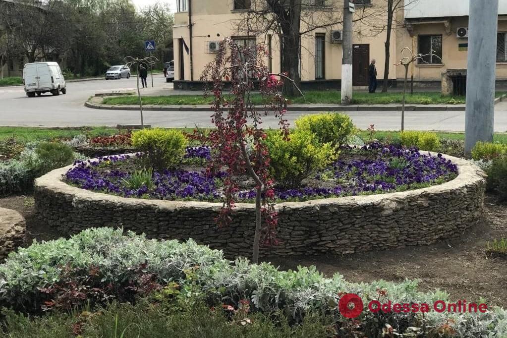 Озеленители Одессы продолжают высаживать цветы и благоустраивать парки и скверы