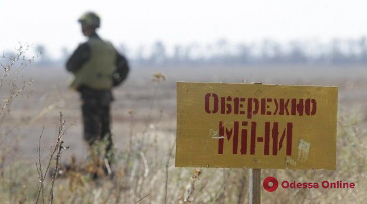 В Херсонской области оккупанты заминировали дороги, лесопосадки и поля