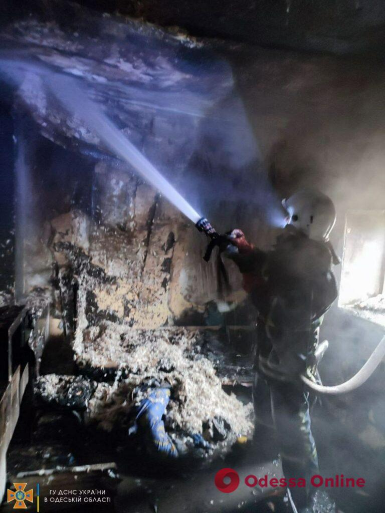 В селе Одесской области при пожаре в доме погибла пожилая женщина