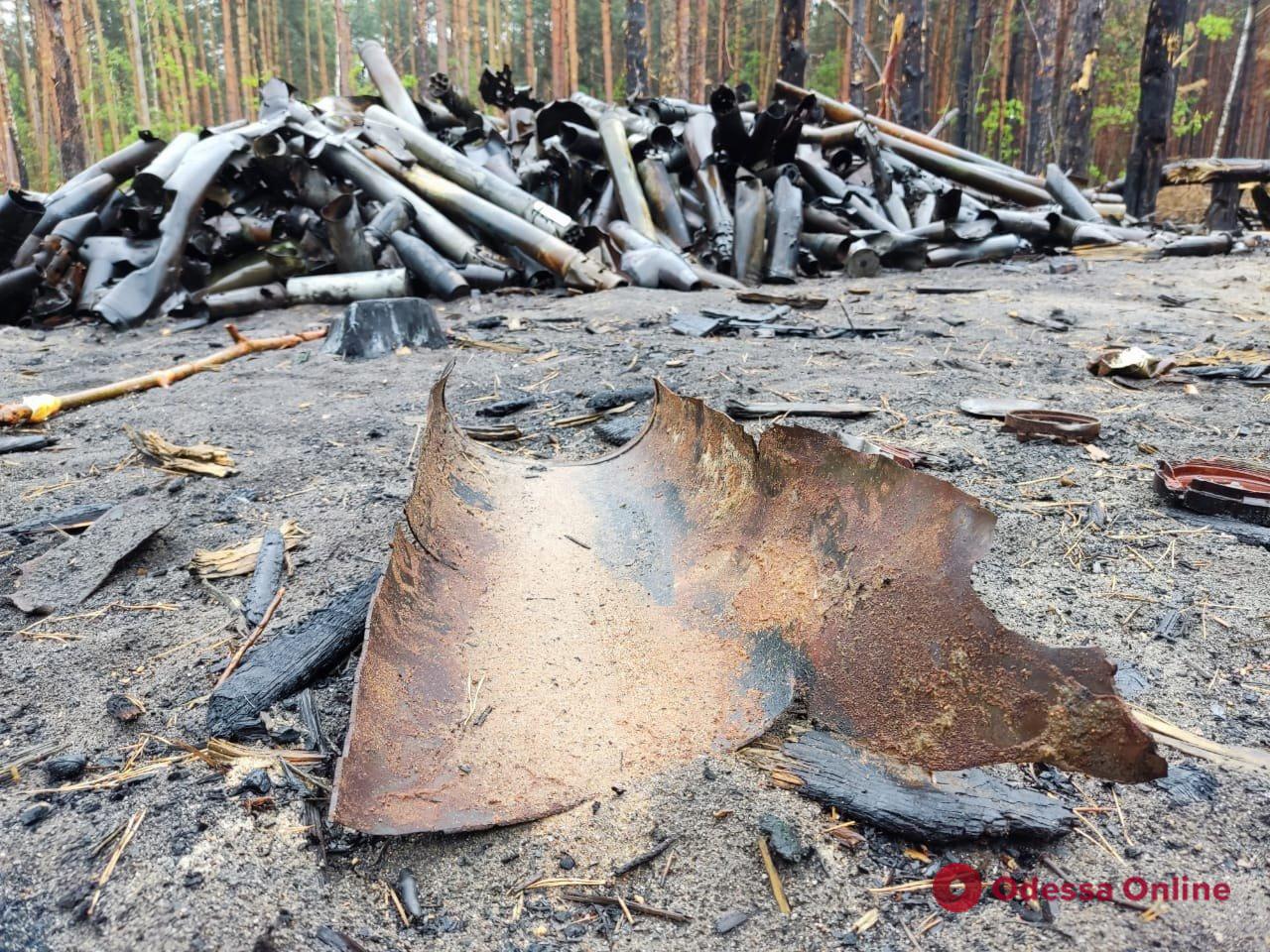 Саперы НГУ обезвредили более 10 тысяч взрывоопасных предметов в Киевской области