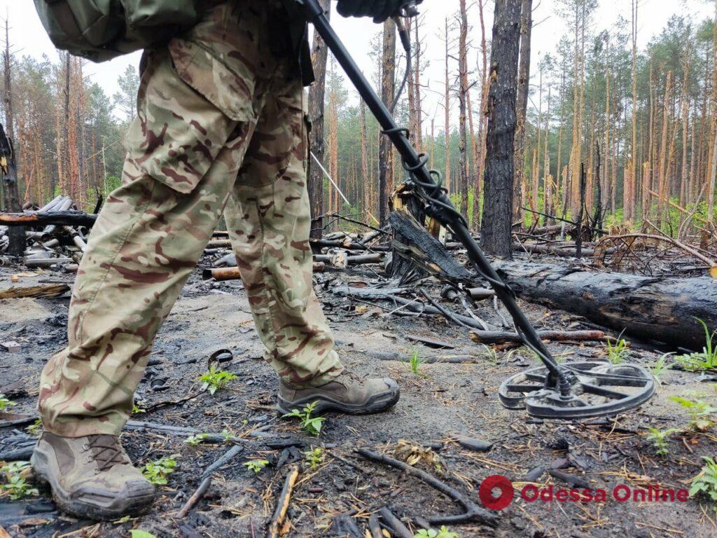 Саперы НГУ обезвредили более 10 тысяч взрывоопасных предметов в Киевской области