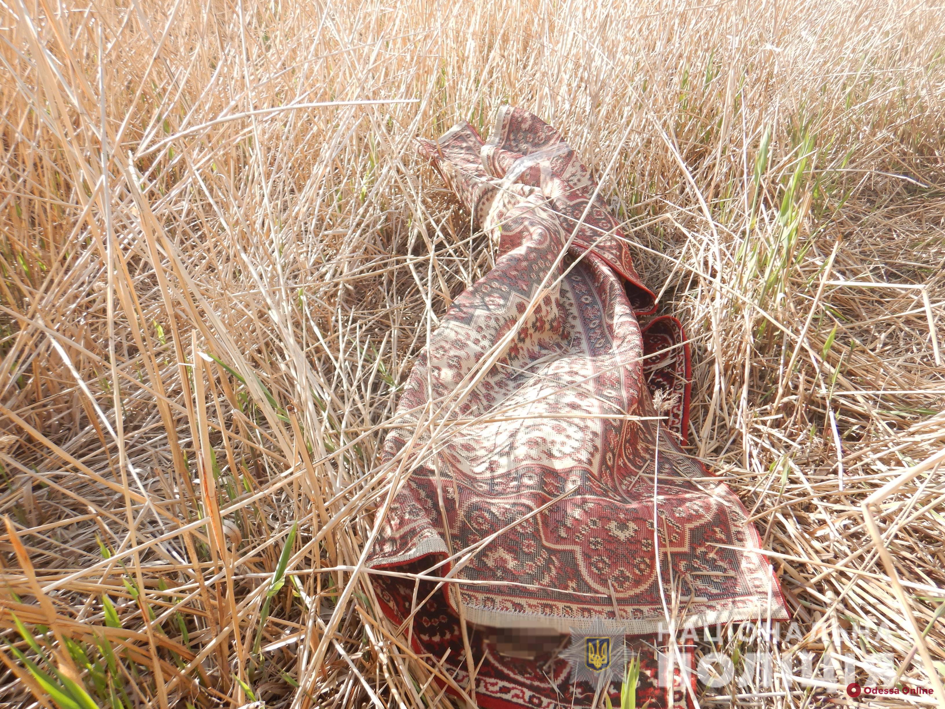 Житель Одесской области убил односельчанина, замотал тело в ковер и вывез в камыши