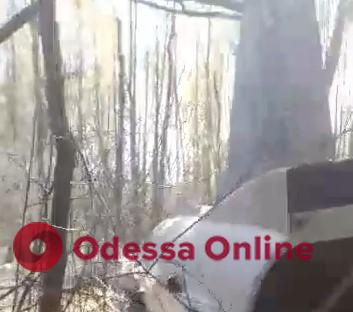 Украинские военные показали российский беспилотник советских времен, который сбили в небе над Черниговской областью (видео)