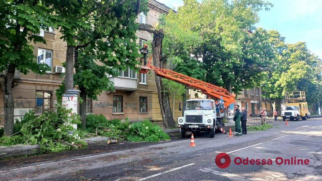 Одесские коммунальщики устраняют последствия непогоды