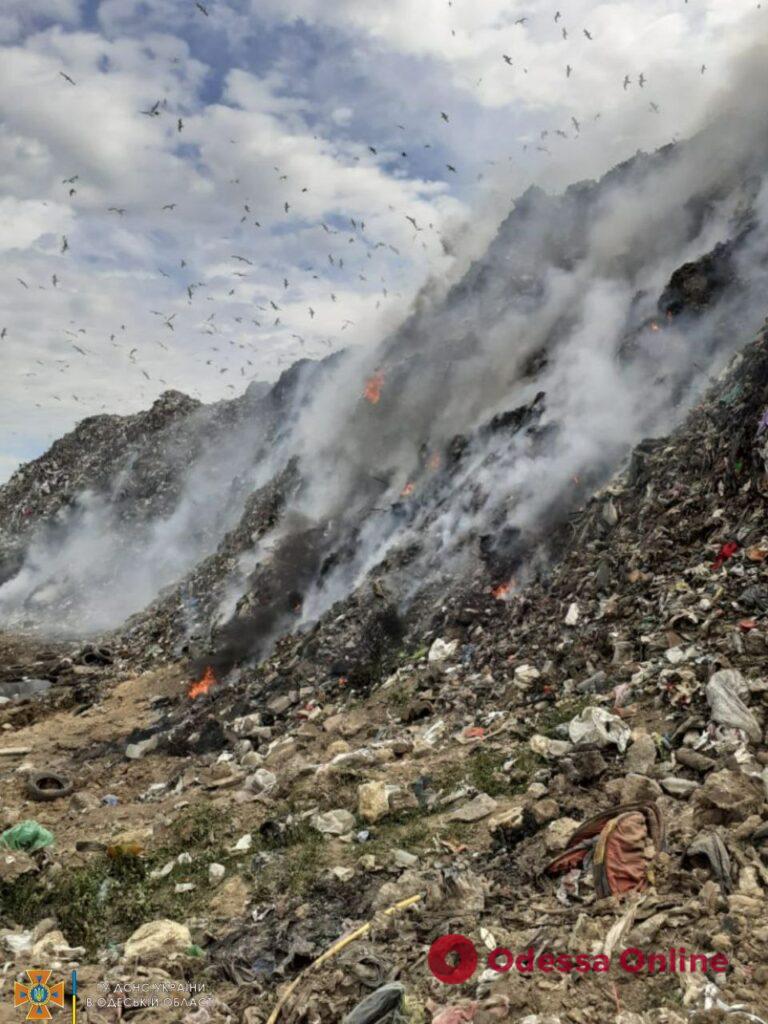 На свалке «Дальницкие карьеры» горел мусор